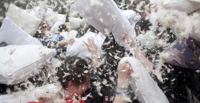 bataille-de-polochons-via-meltybuzz-fr